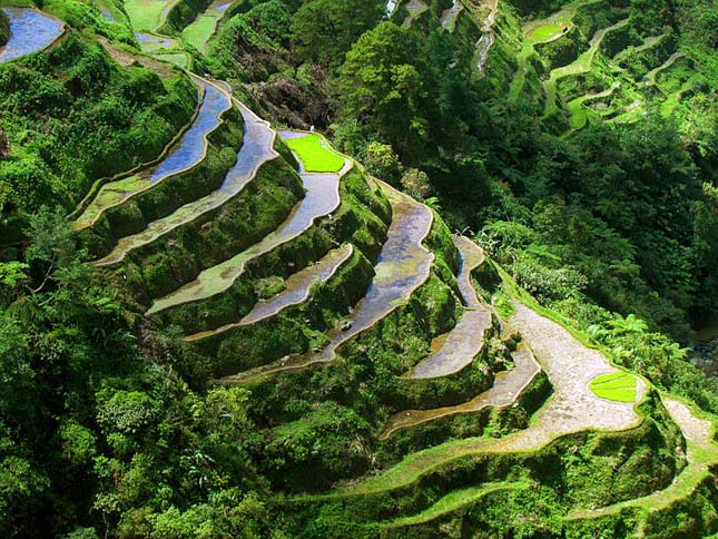 Banaue rizsteraszai