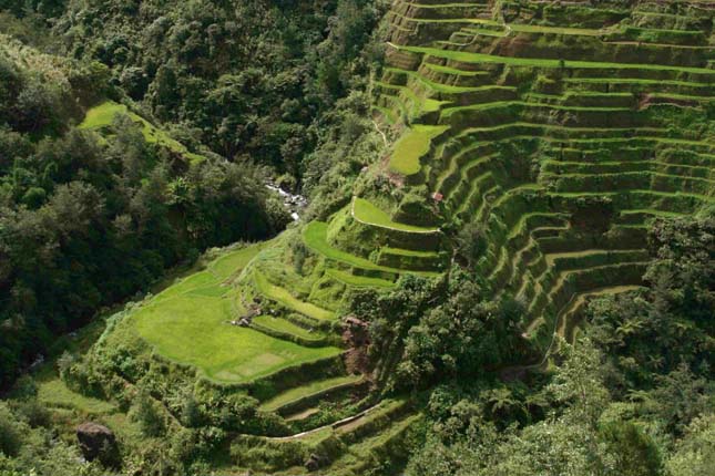 Banaue rizsteraszai