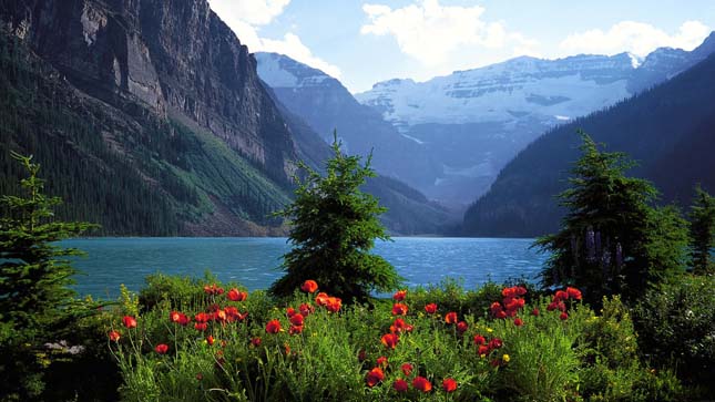 Banff Nemzeti Park