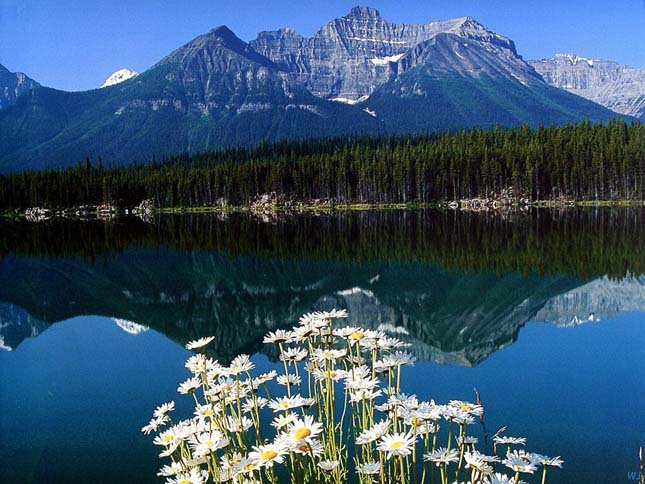Banff Nemzeti Park