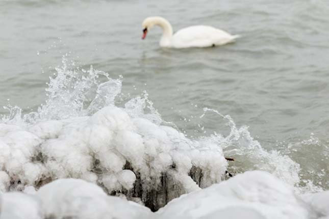 Befagyott balaton