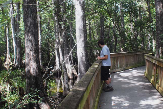 Big Cypress Nemzeti Rezervátum