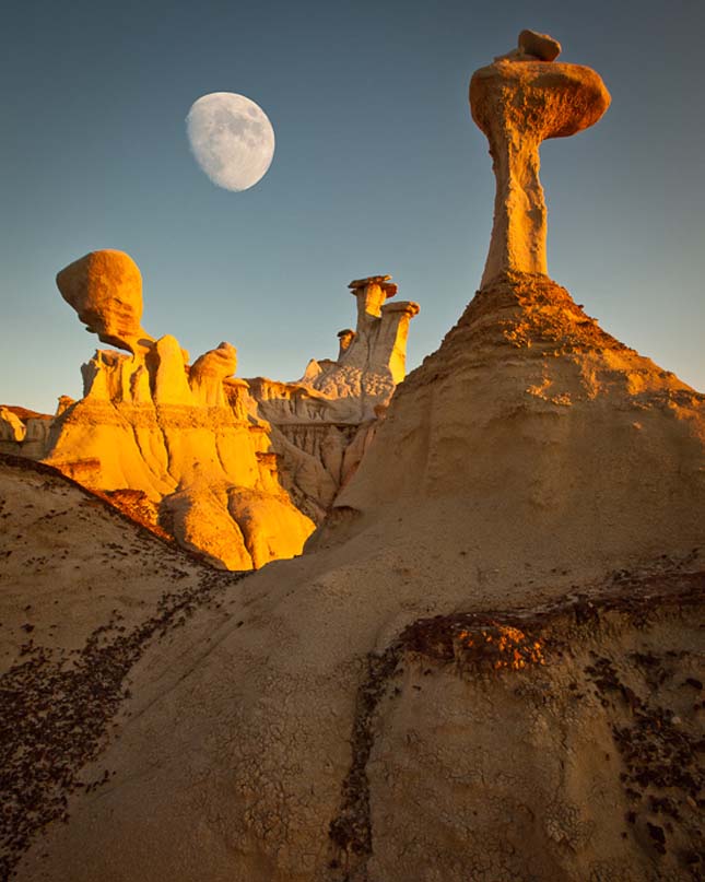 Bisti-kőrengeteg