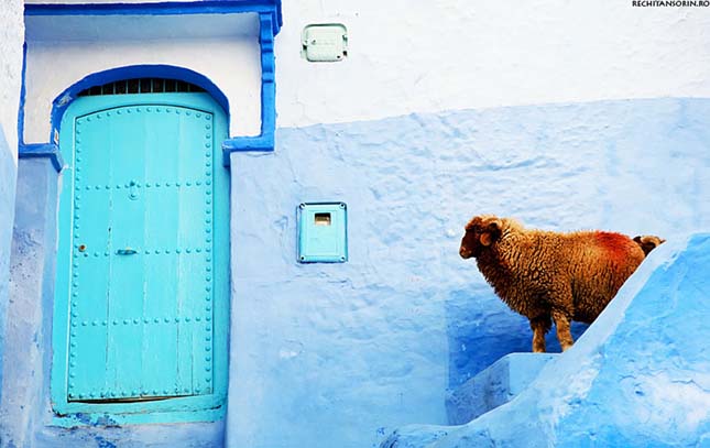 Chefchaouen