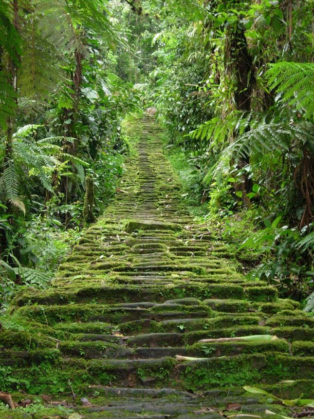 Ciudad Perdida, az Elveszett város