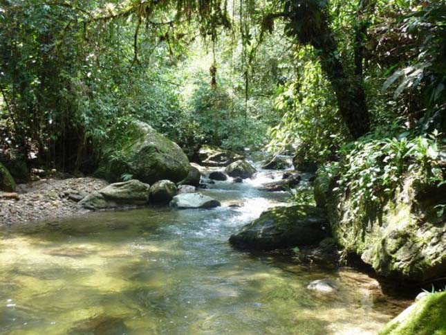 Ciudad Perdida, az Elveszett város