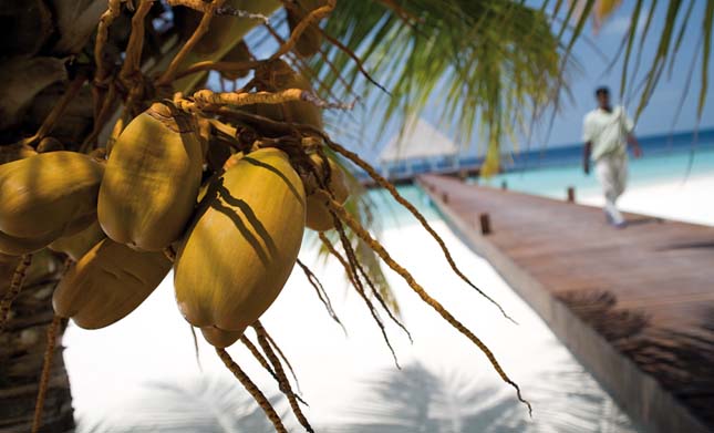 Coco Palm Bodu Hithi, Maldív-szigetek