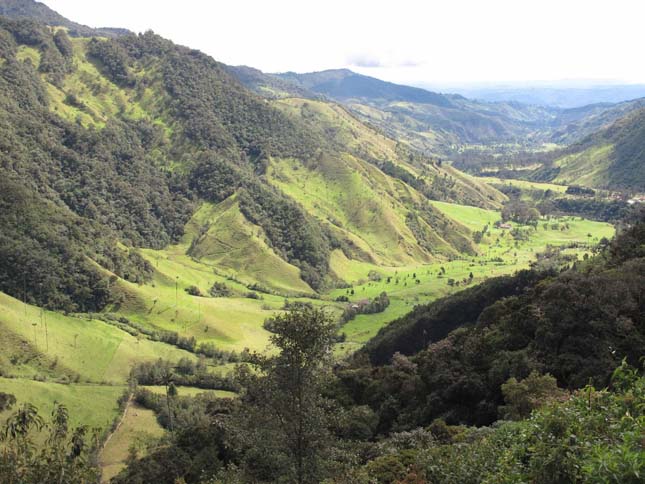 Cocora völgy