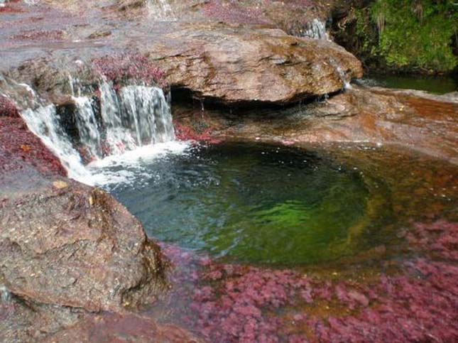 Cano Cristales