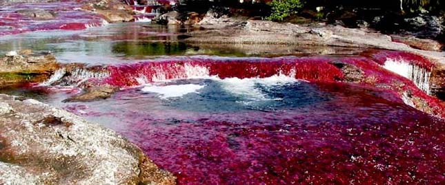 Cano Cristales