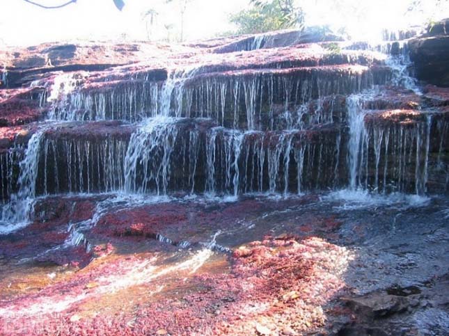 Cano Cristales