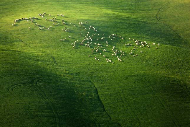 Toscana - Toszkána