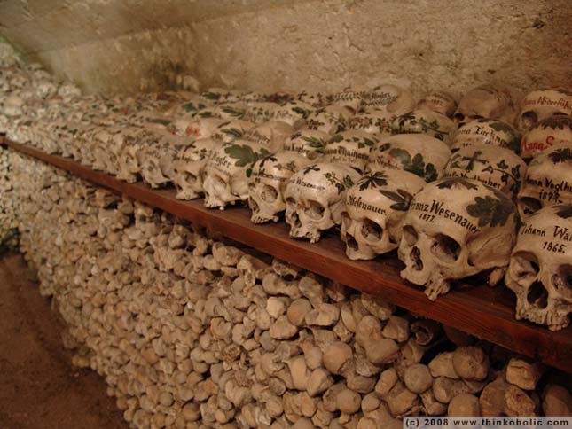 Európai csontházak