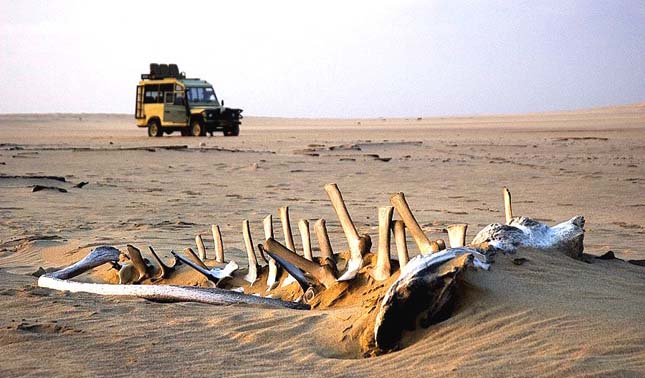 Csontvázpart, Namib-sivatag