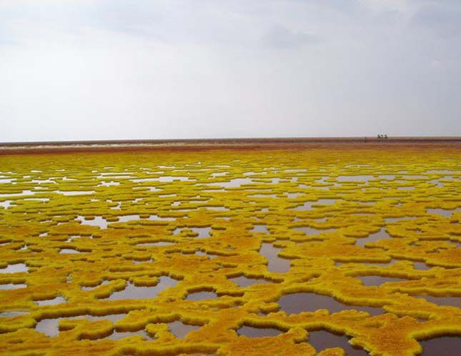 Dallol vulkán, Etiópia