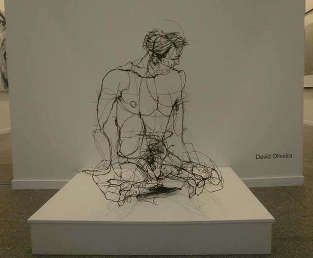 David Oliveira drótokból készült szobrai