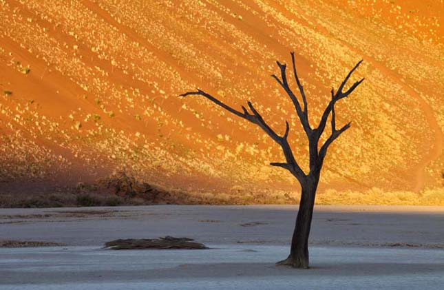 Deadvlei