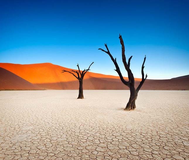 Deadvlei