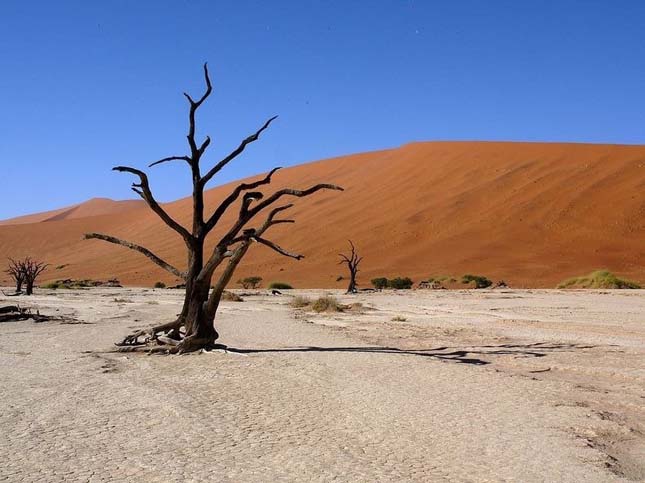 Deadvlei