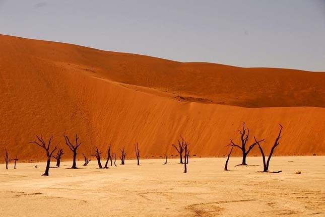 Deadvlei