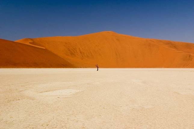 Deadvlei