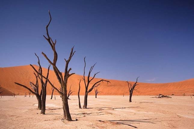 Deadvlei