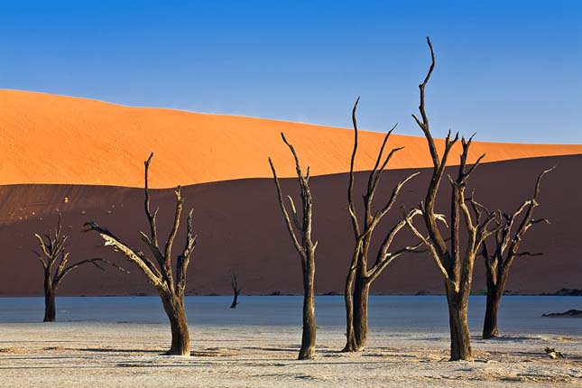 Deadvlei