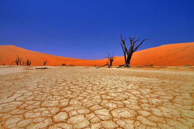 Deadvlei