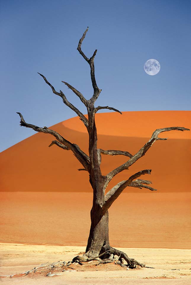 Deadvlei