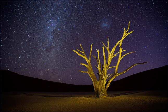 Deadvlei