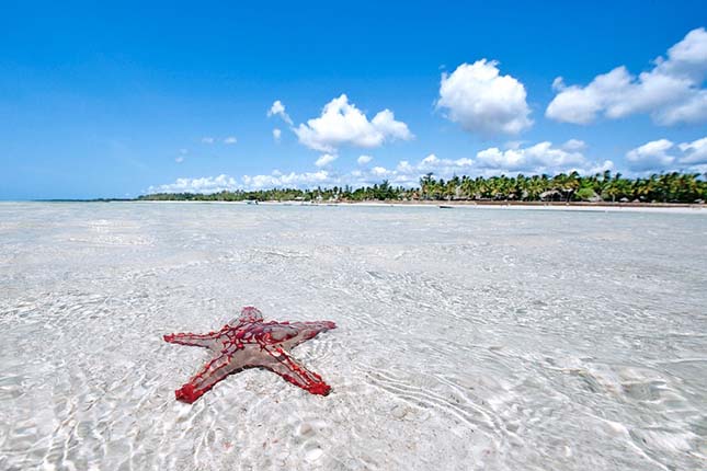 Diani Beach, Kenya