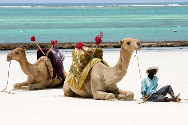 Diani Beach, Kenya