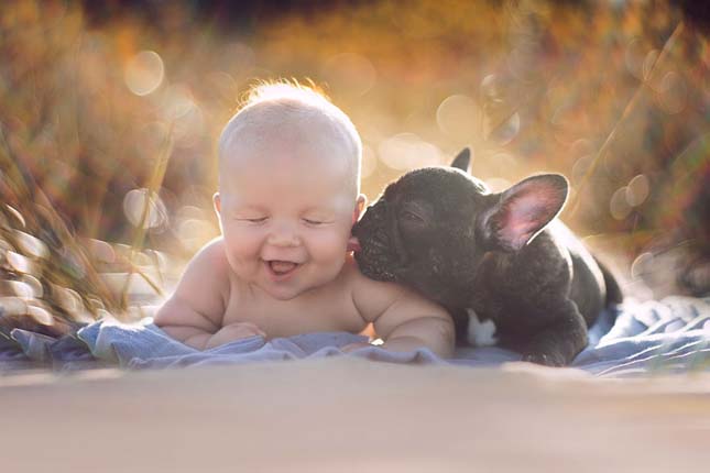 A kisbaba és a francia bulldog barátsága