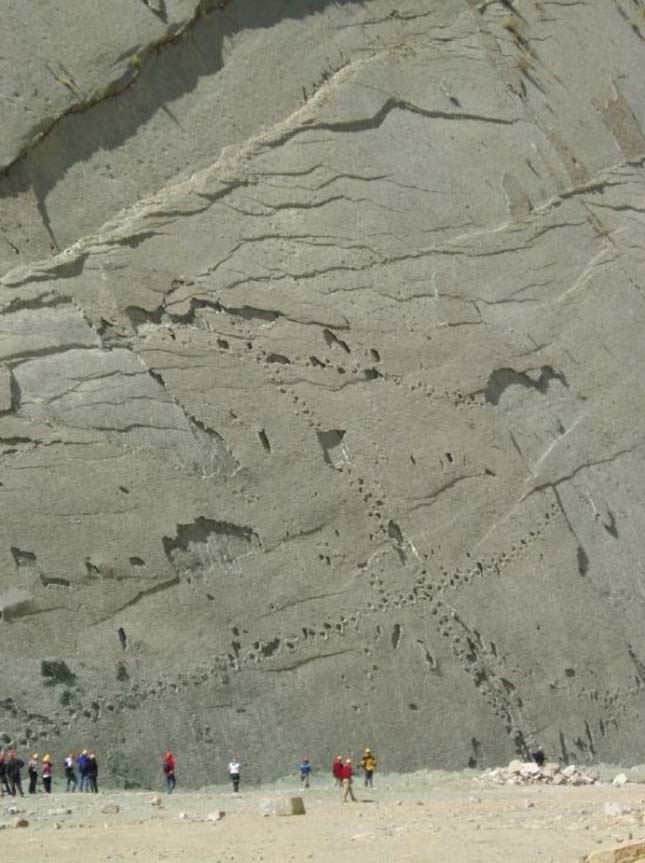 Dinoszaurusz lábnyomok, Bolívia