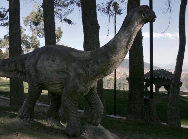 Dinoszaurusz lábnyomok, Bolívia