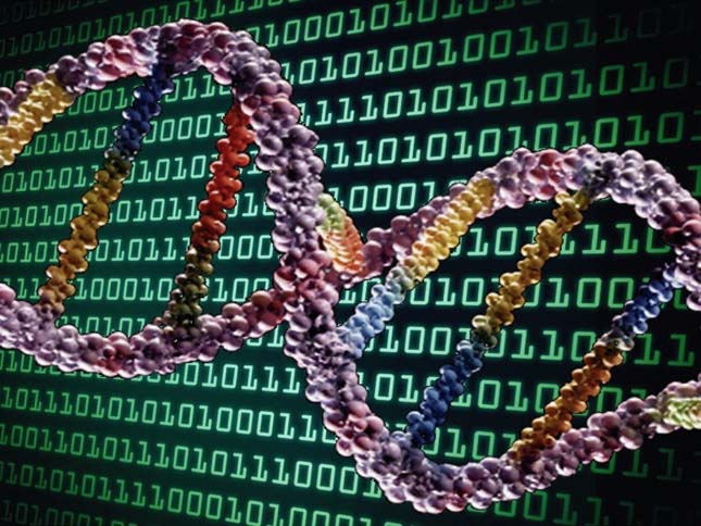 DNS információ tárolás
