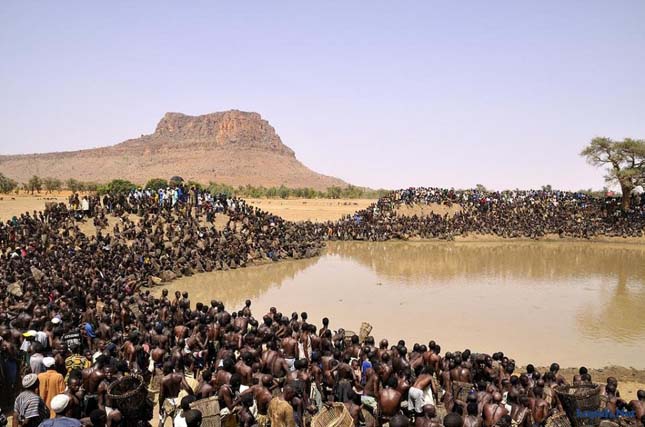 A dogon törzs rituális halászata