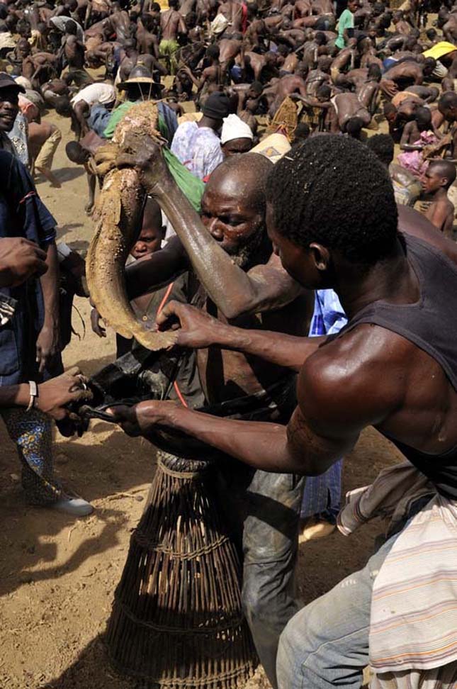 A dogon törzs rituális halászata