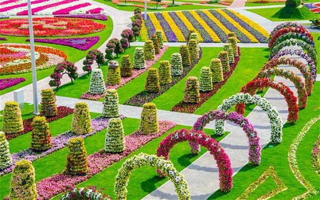 Miracle Garden - Dubai