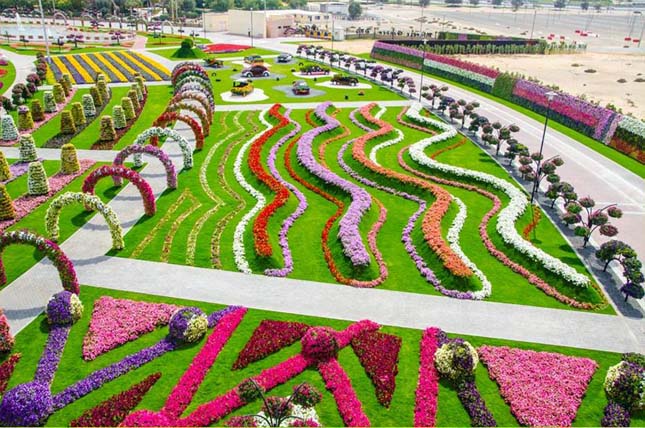 Miracle Garden - Dubai