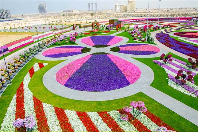 Miracle Garden - Dubai