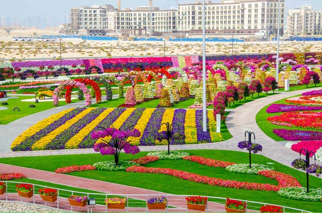 Miracle Garden - Dubai