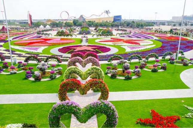 Miracle Garden - Dubai