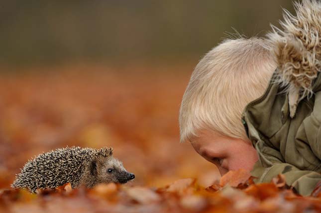 Edwin Kats