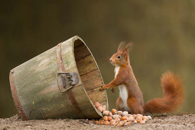 Edwin Kats