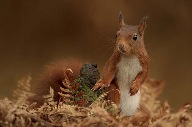 Edwin Kats