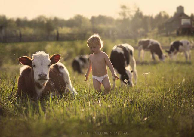Elena Shumilova