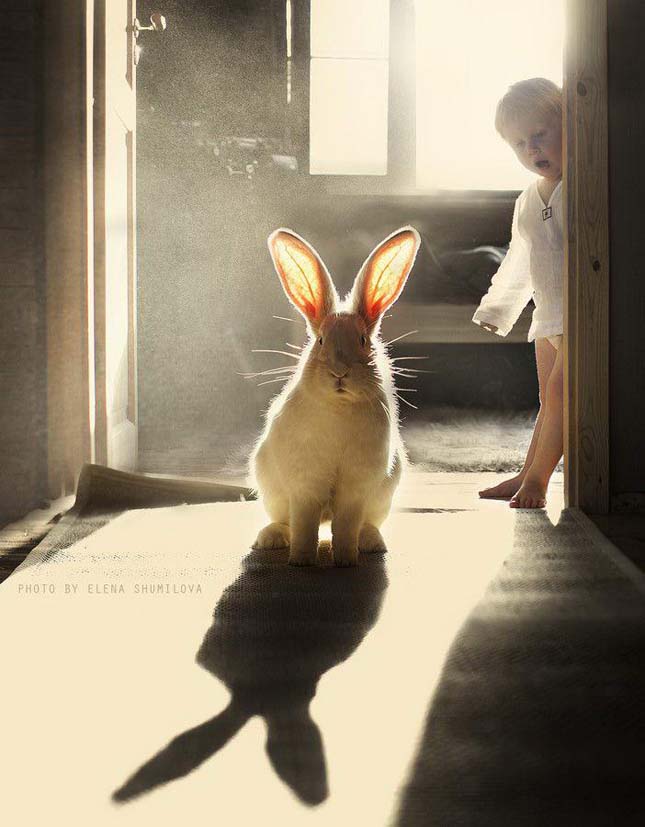 Elena Shumilova