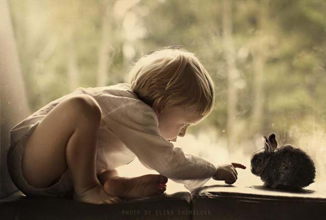 Elena Shumilova