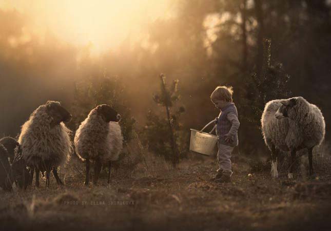 Elena Shumilova